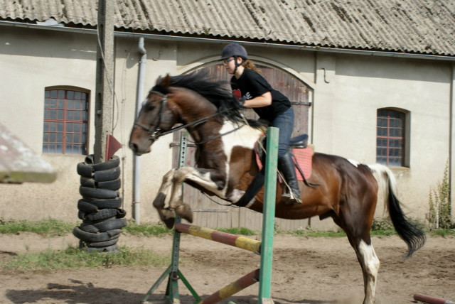 Wpis niebieskomixd