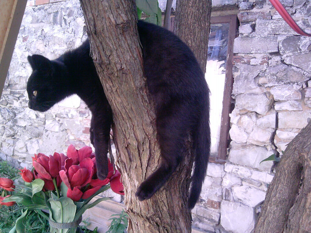 Wpis czzekoladoovaaxd