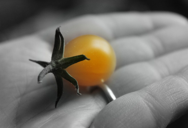pomidoooooooooooorek :)
