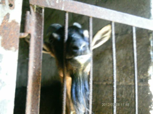 kzka kasia ^^