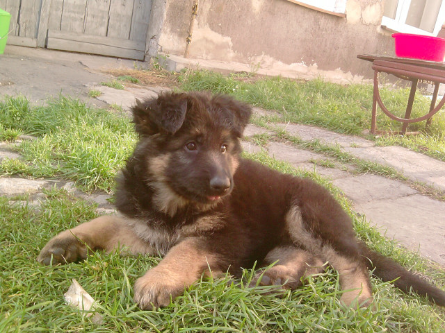 Wpis czzekoladoovaaxd