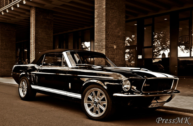 Mustang 