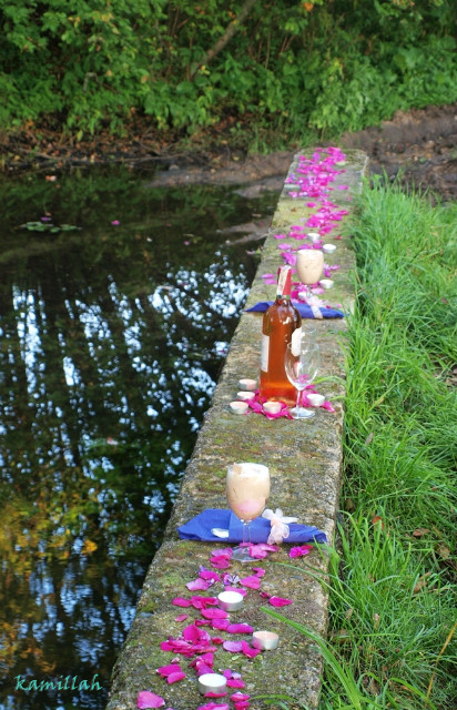 Wpis nunlaiel19
