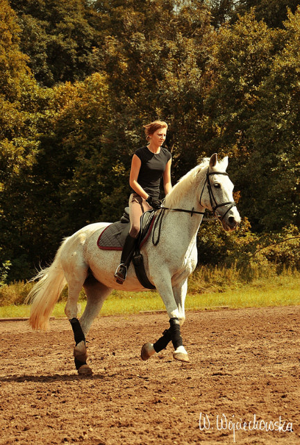 Saga, fot. koniara01.ftb.pl