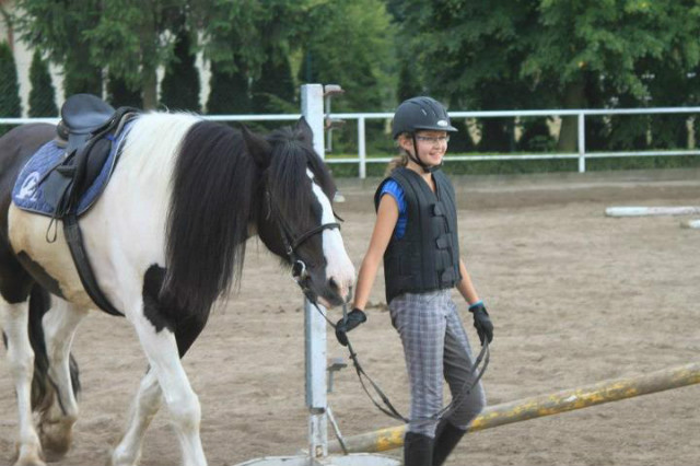 In love with horses :)