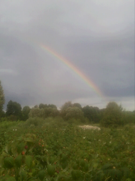 Wpis antykomercyjnie