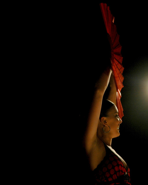 flamenco dancer