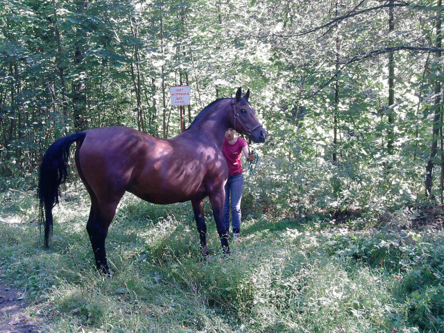 moje ;333