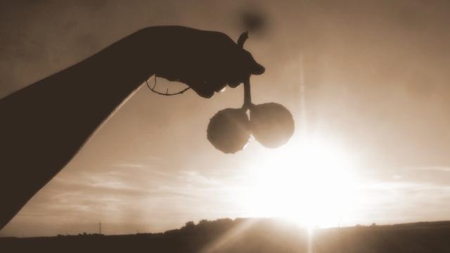 Kasztanki^^
