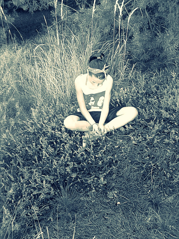 Wpis spieszxsie