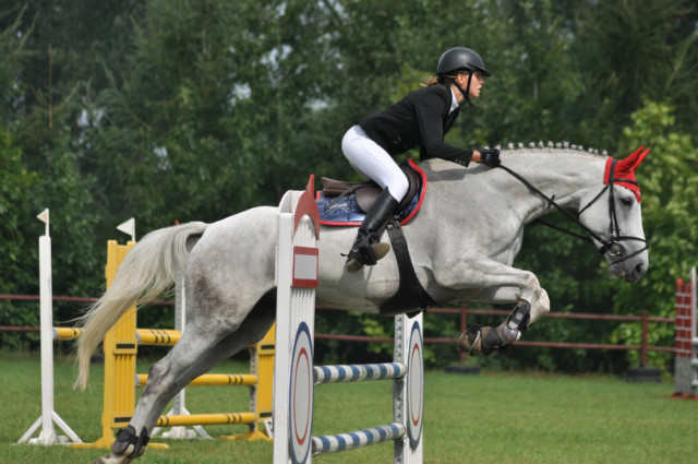 Wpis onlyhorse94