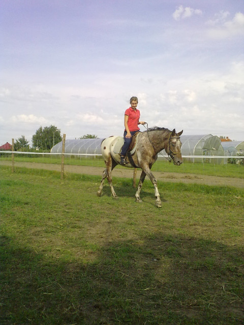 my horse