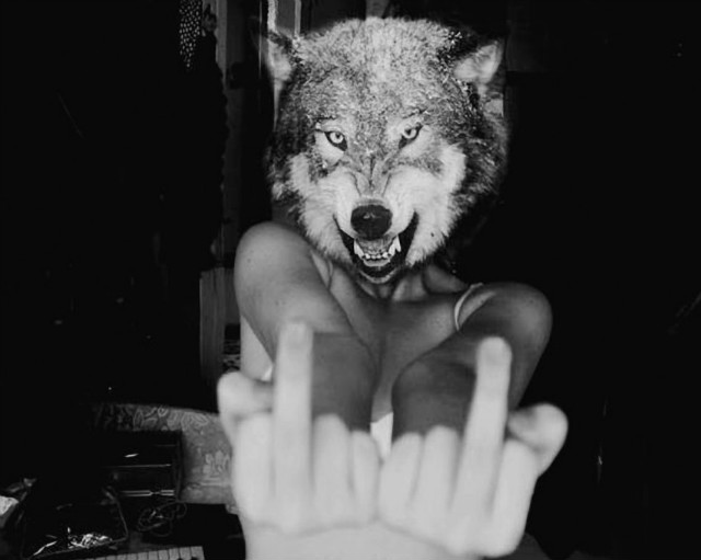 Wpis miseryheart