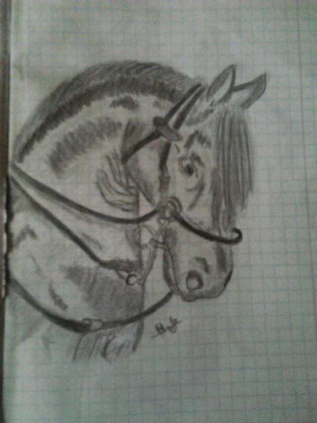 Mj rysunek :)