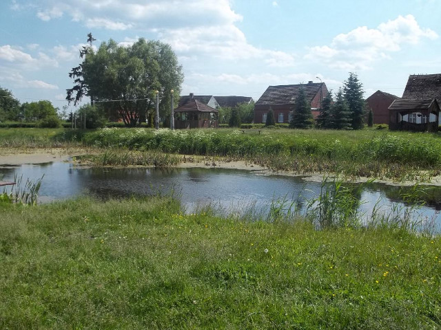 Czarne Mae : )