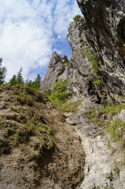 Wpis photogriss
