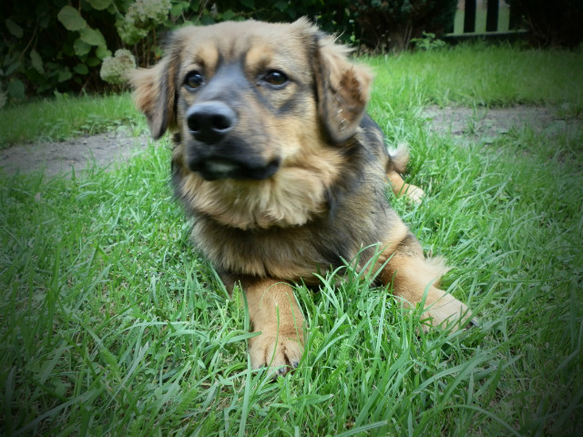 Tobiiii ^^
