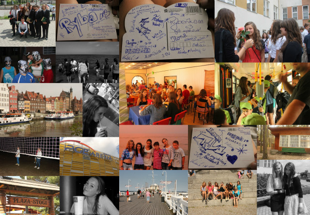 Wpis motyl16
