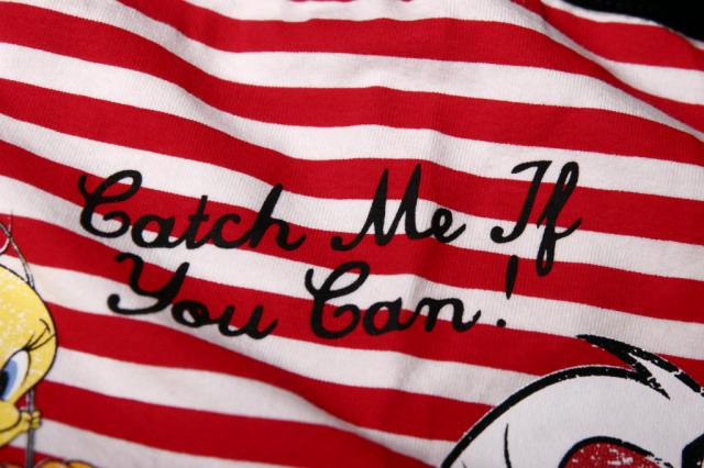 CACH ME IF YOU CAN!