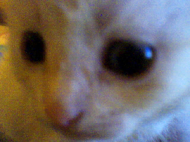 Wpis sandroool