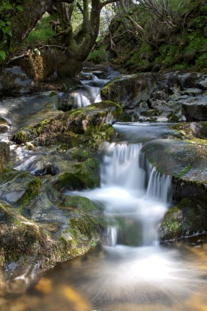 Yorkshire Dale