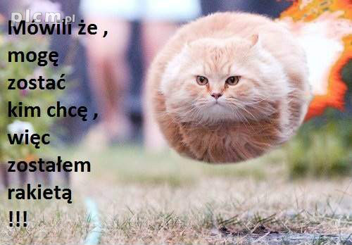 Wpis zupelnieinnaaa