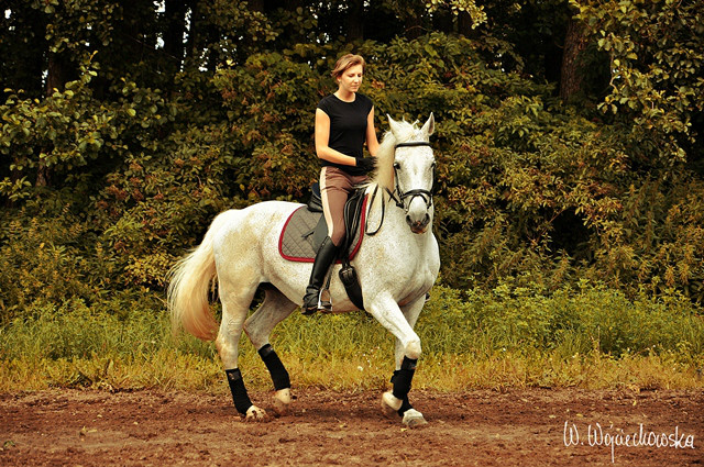 Fot.koniara01.ftb.pl