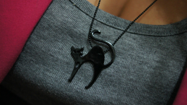 kitty
