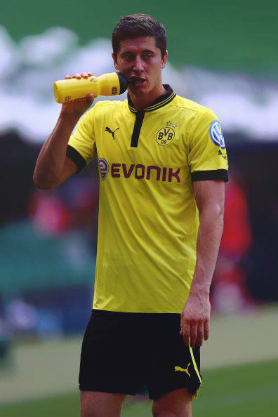 Wpis lewandowskiii