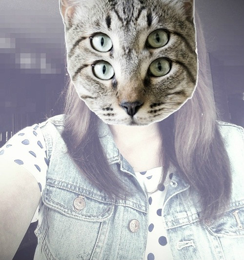 CATWANG
