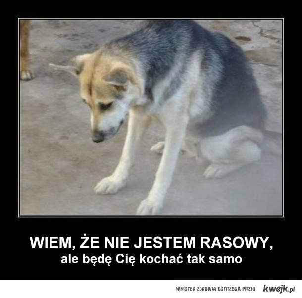:c