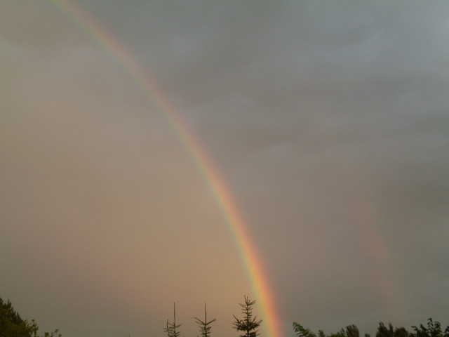 Rainbow, rainbow, rainbow...