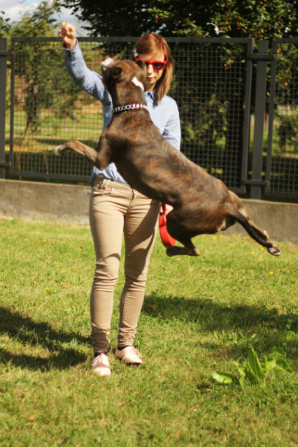 Wpis paulinasphoto