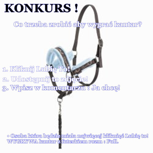 KONKURS!