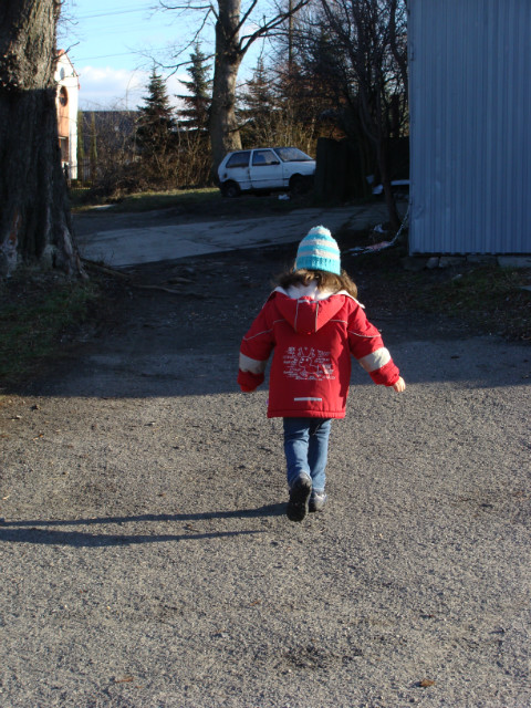 Wpis karczoch