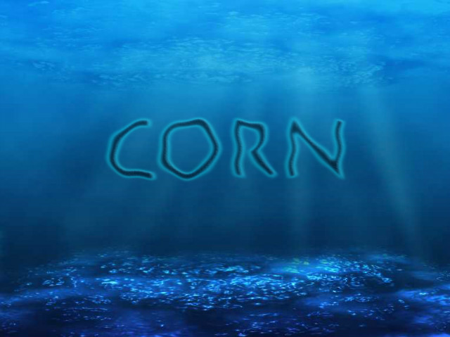 Wpis c0rn