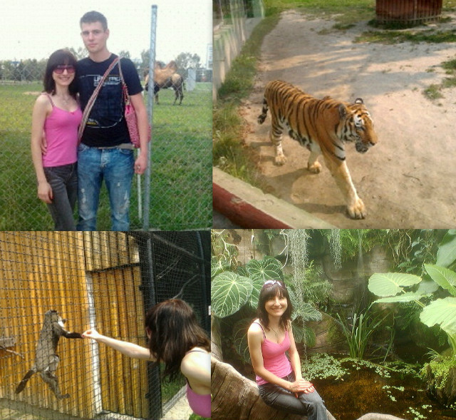 03.09.2012 ZOO ZMC :)