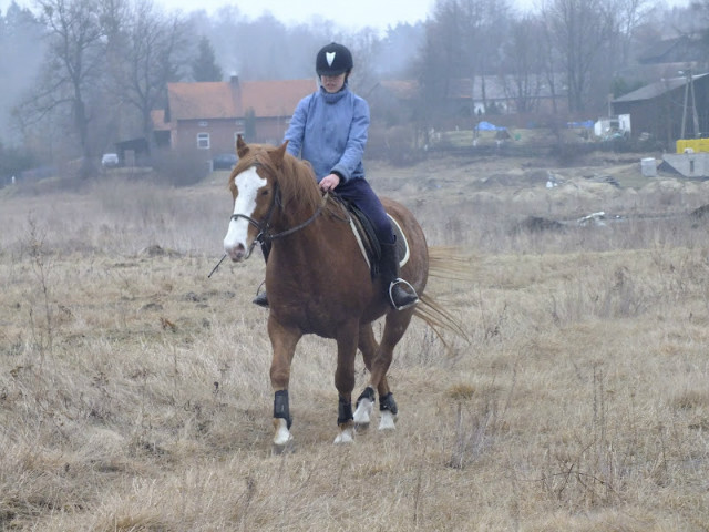 Bysk ;*