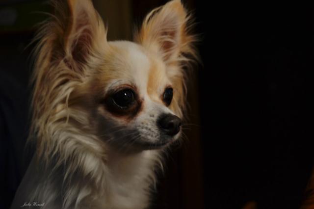 Staring Into The Darkness