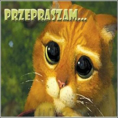 Przepraszam ci ! 