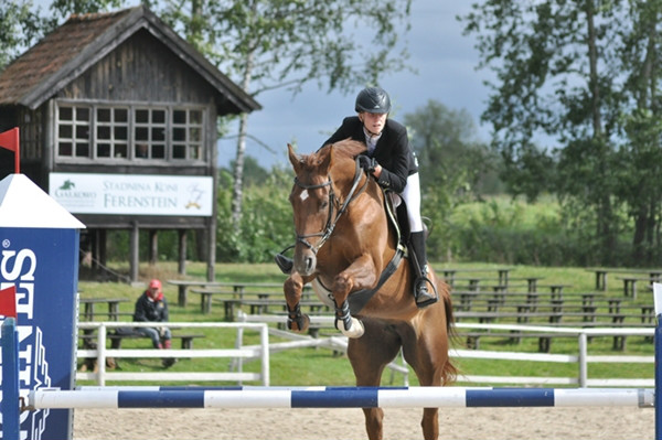 Wpis onlyhorse94