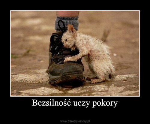 Ktrdy droga?