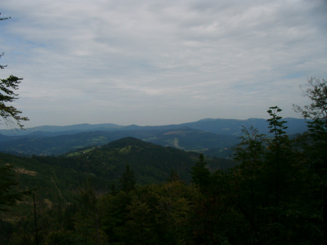 Widok.