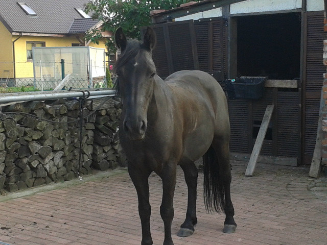 Carmenka z dzisiaj:)