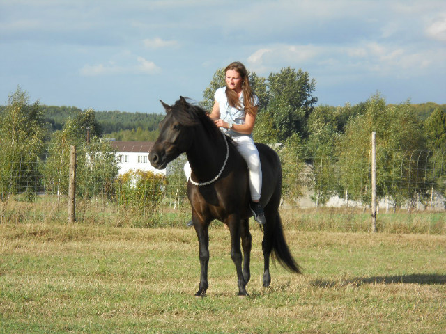 Wpis wiatraczkowa