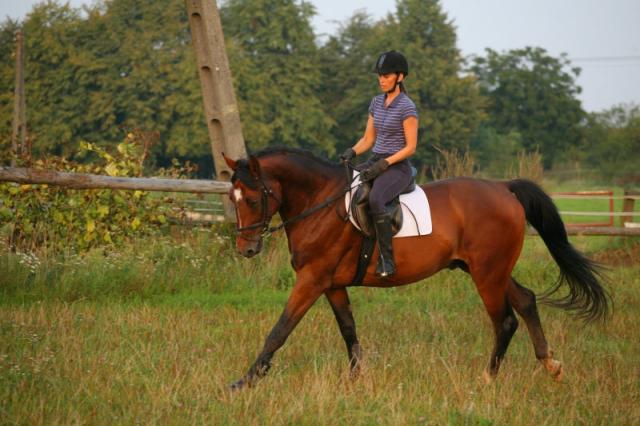 Victorek :***