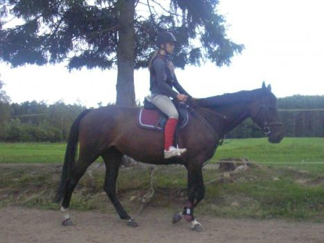 Wpis olusia988