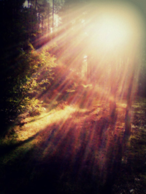 Narniaa.