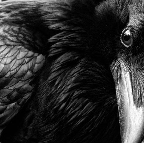dark side.