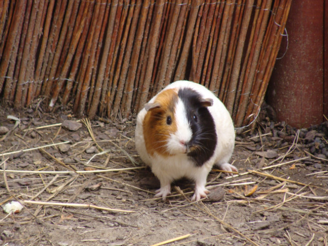Sodka winka Morska z zoo ;d 